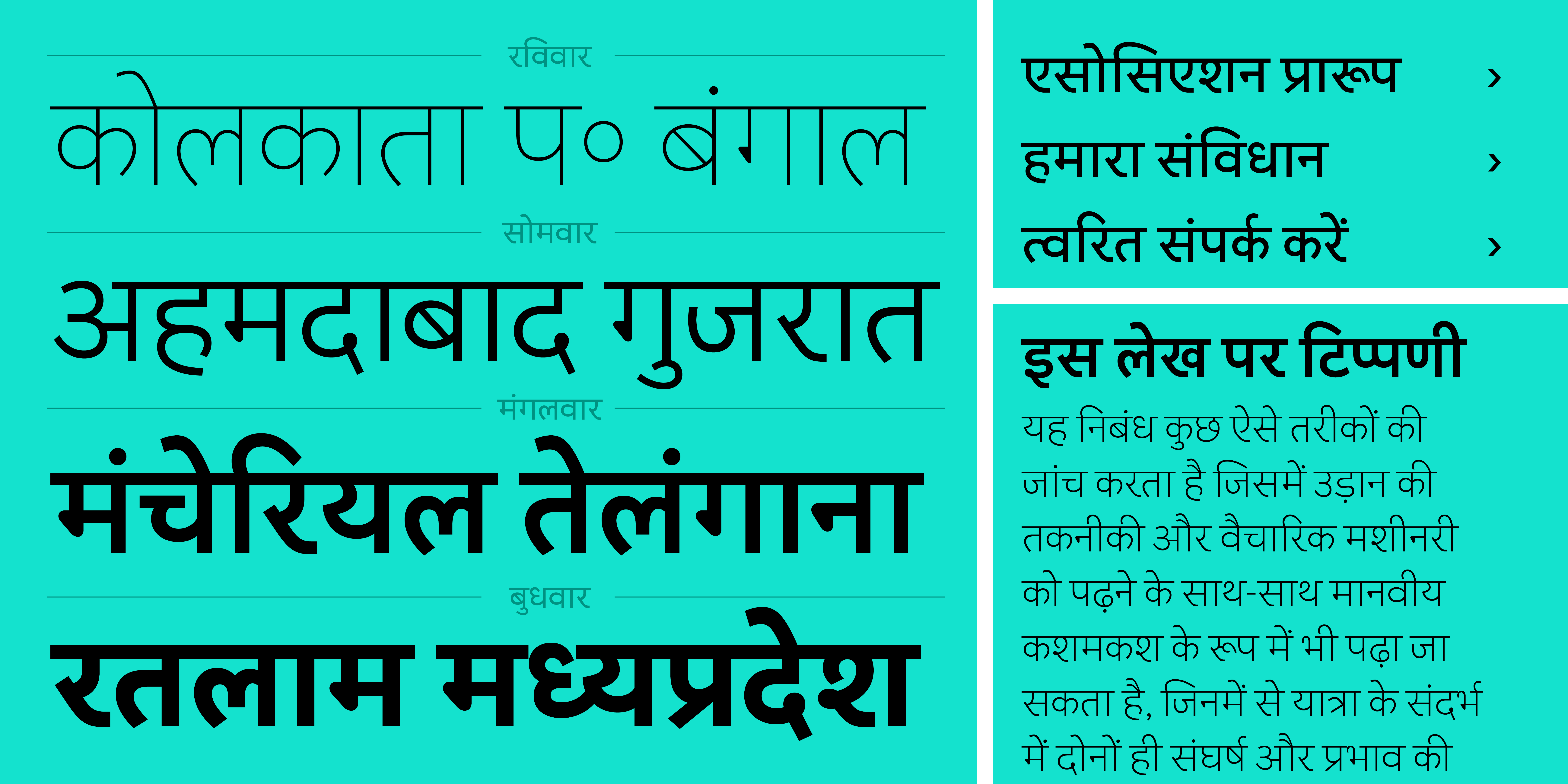 Black Devanagari text on a green background